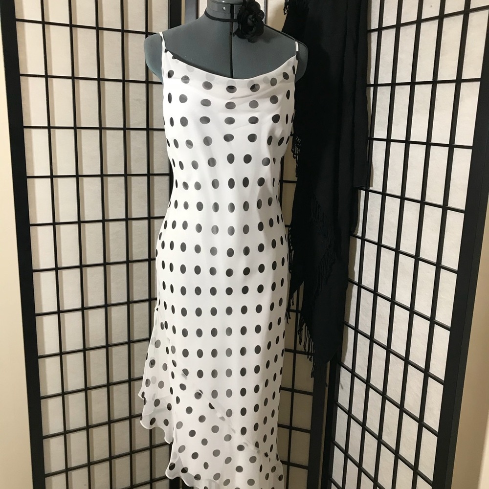Polka Dot Beauty